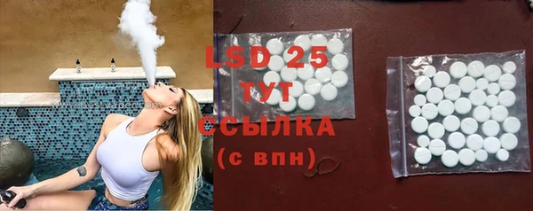 индика Зерноград
