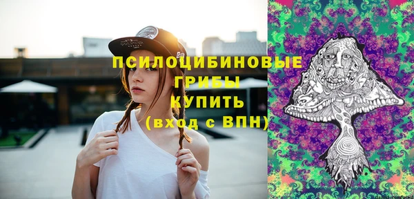 индика Зерноград