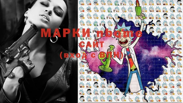 индика Зерноград