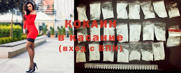 индика Зерноград